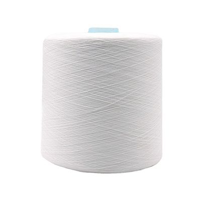 100% ポリエステル 糸 OEM 20/2 30/2 40/2 50/3 100-500g